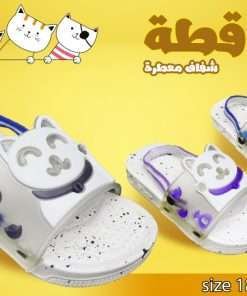 قطة شفاف